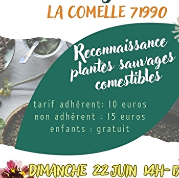Balade plantes sauvages comestibles - LA COMELLE