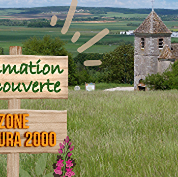Animation découverte Zone Natura 2000 - SAINT-MARTIN-DU-TERTRE