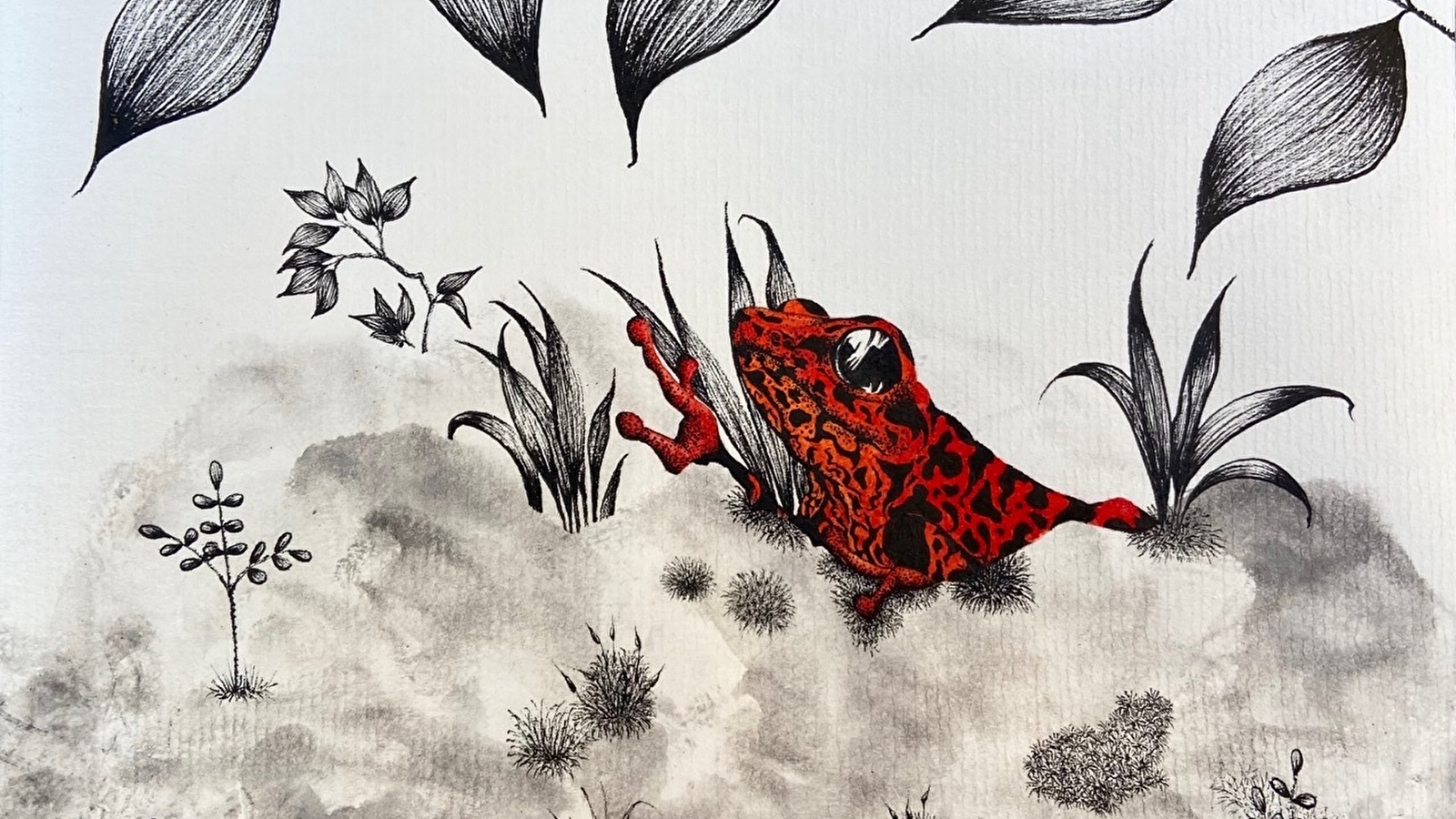 Exposition - 'Des liens et des liants' - Mathilde Garnier - Dessins à l'encre au fusain
