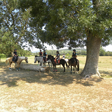 Initiation ou perfectionnement à l'équitation