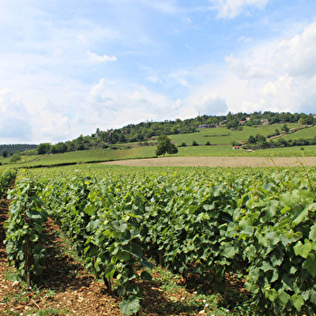 Bienvenue en Bourgogne : Escapades en Bourgogne -