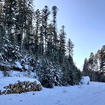 Le Haut-Folin - SAINT-PRIX