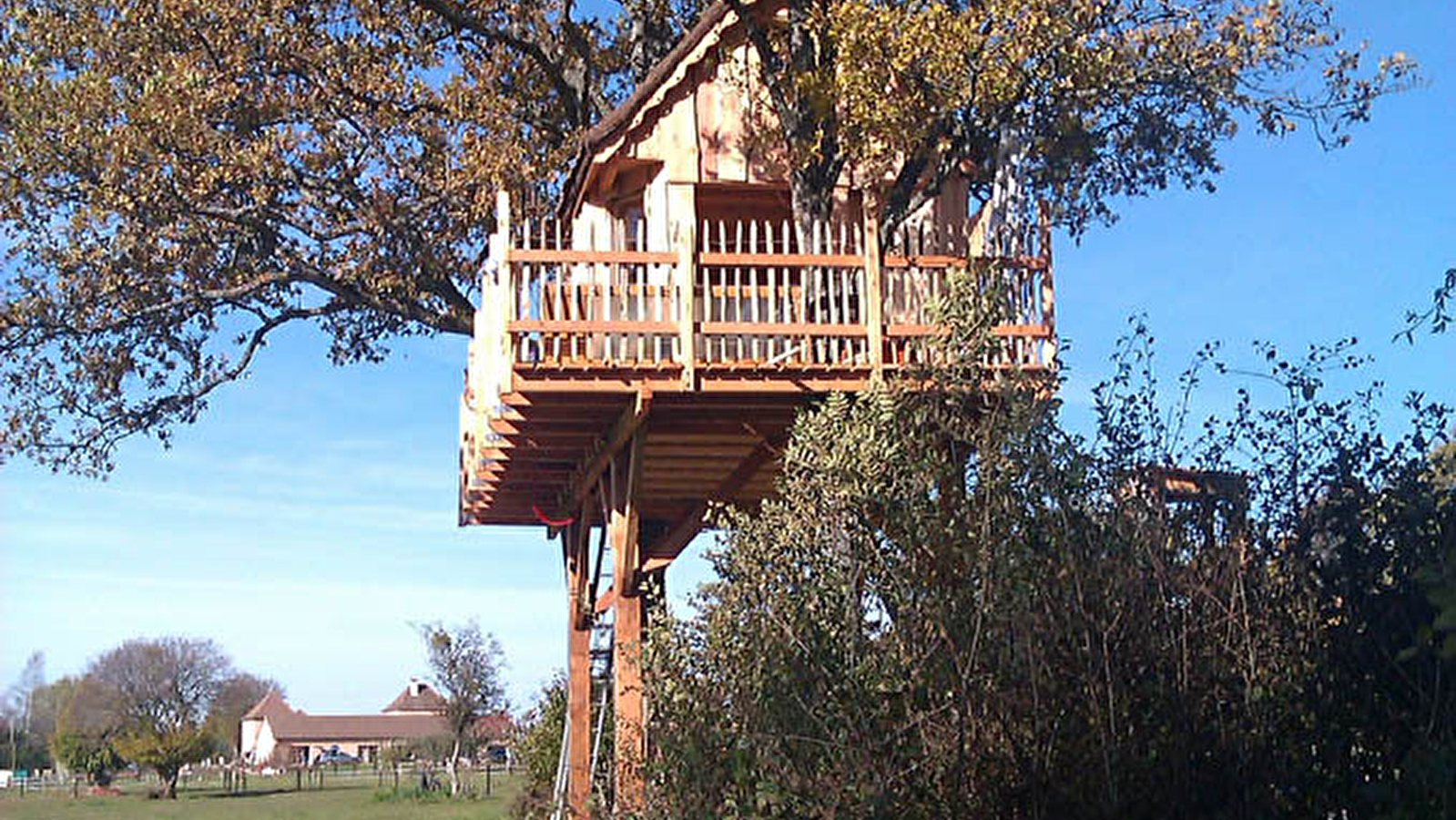 L'Arche de Noé - Cabane dans les Arbres