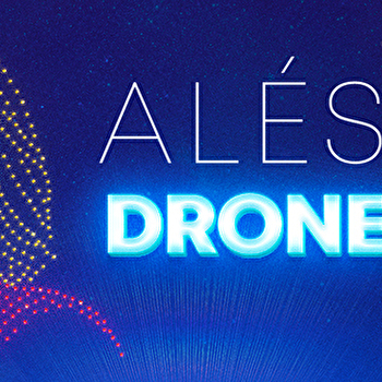 Drone Show au MuséoParc Alésia - ALISE-SAINTE-REINE