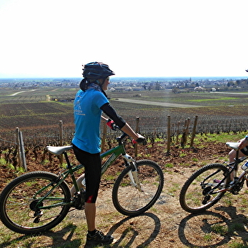 Rando VTT des Vignes 'Côte de Nuits' - CHENOVE