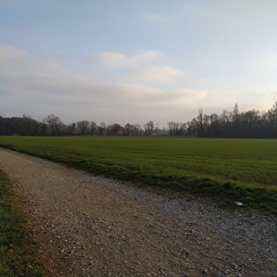 Balade Le Marais