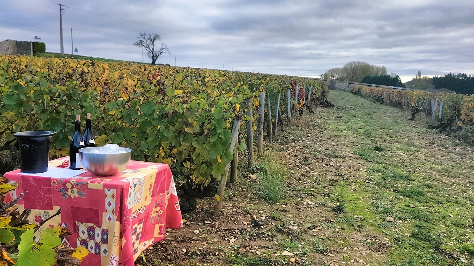 MISSION VIGNERON l'âme d'un terroir, le défi entre vos mains