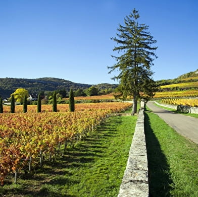 Château de la Crée