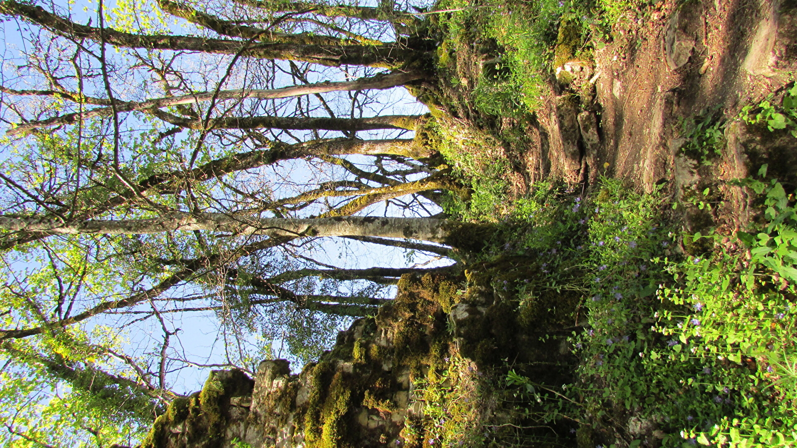 Les mystères du bourg castral de La Châtelaine