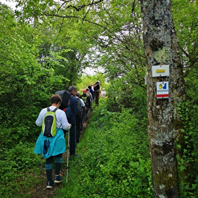 Via Francigena