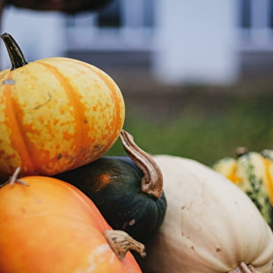 Fête de la courge & des saveurs d'automne