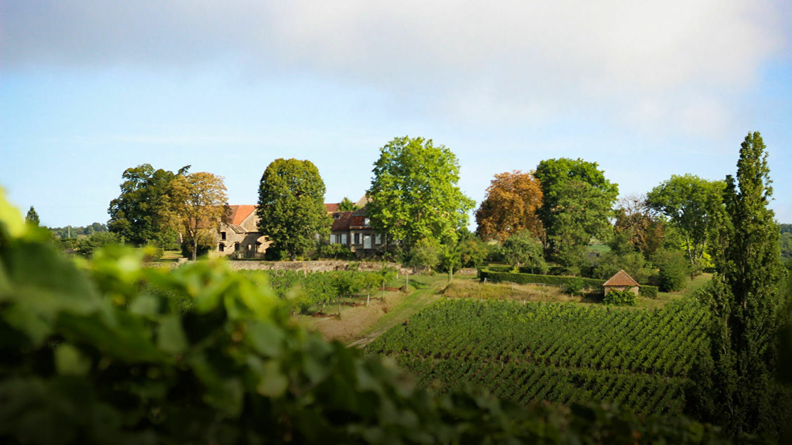 Domaine du Château de Rougeon