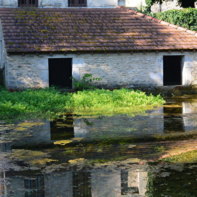 Fontaine du Roi