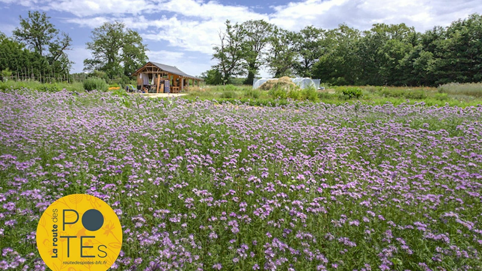 WHICH?GARDEN – le jardin bio qui nourrit  la terre, le corps et l’âme !