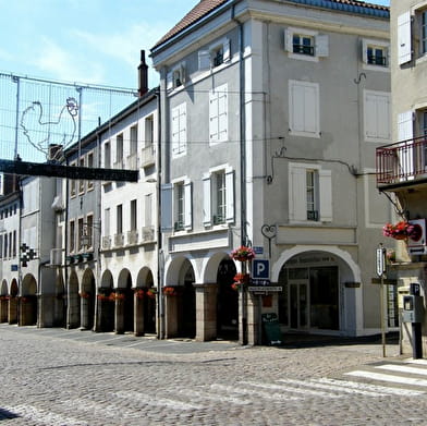 Visite guidée de la ville de Louhans