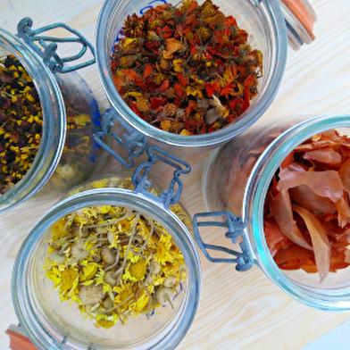 Atelier créatif de teinture naturelle : Ecoprint sur foulard en soie