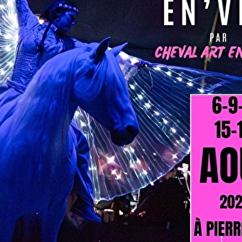 Spectacle equestre - PIERRECLOS