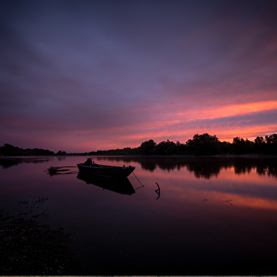 Sortie nature : Une nuit sur une île