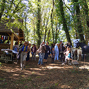 Nuits des forêts - MONTROND