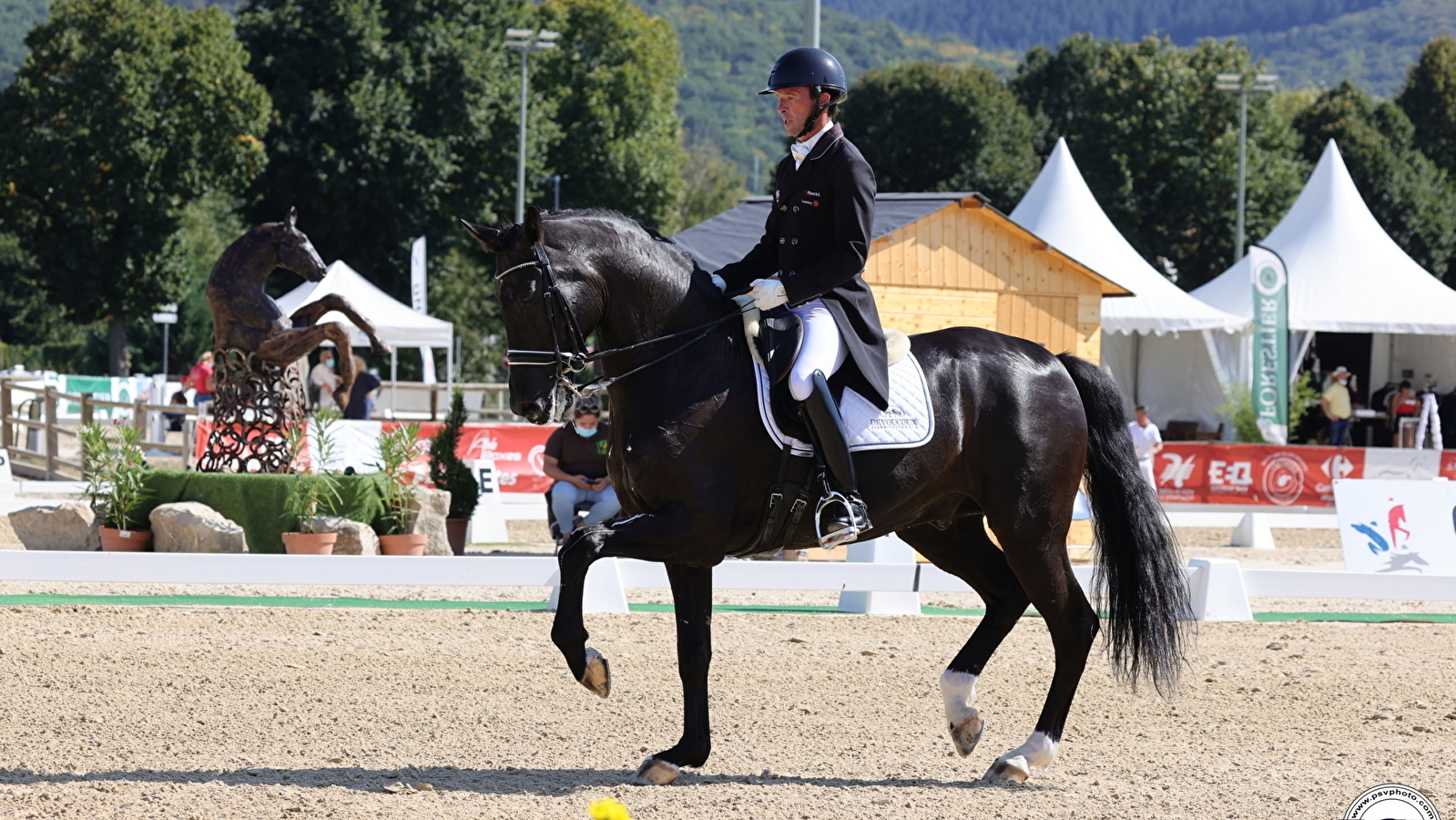 Concours Hippique - Dressage pro élite