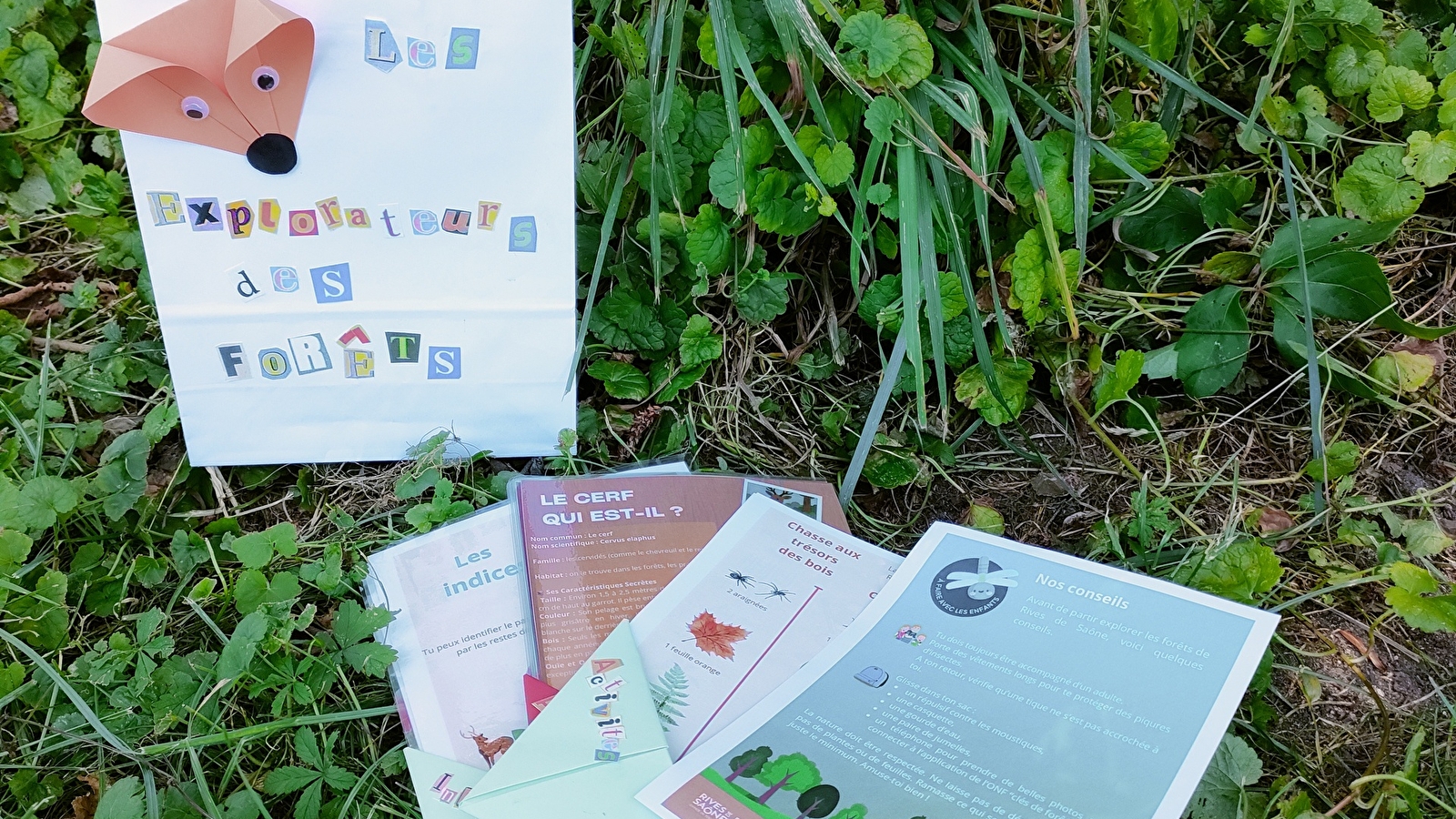 Les explorateurs des forêts