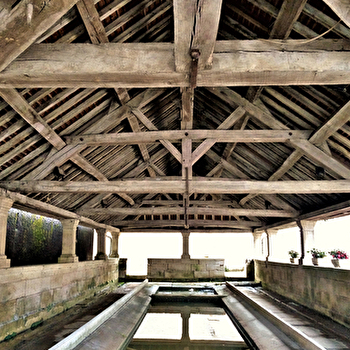 Fontaine-lavoir de Delain - DELAIN