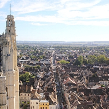 Visite best-seller : D'Abélard à Zola, les rues de Sens de A à Z - SENS