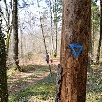 Mission biodiversité : les secrets des arbres bio au Parc national de forêts - VOULAINES-LES-TEMPLIERS