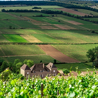 Château de la Greffiere