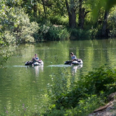 Camping de l'Ile