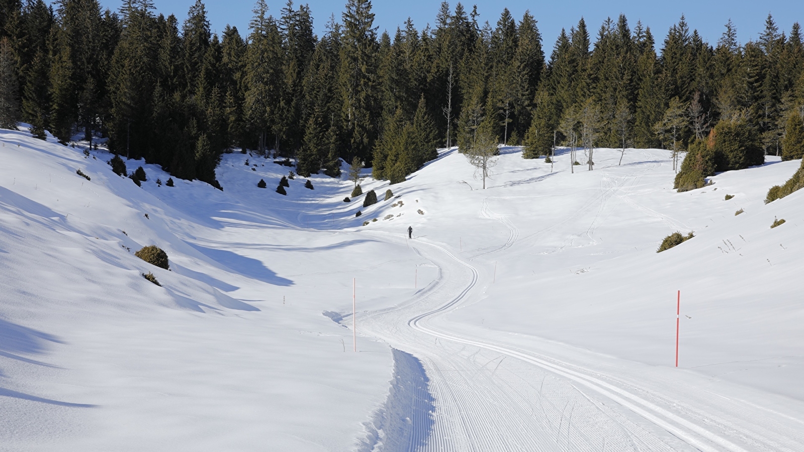 Site Nordique de la Haute Joux - Cerniébaud - Mignovillard