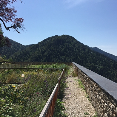 Randonnée du Sentier des Chartreux