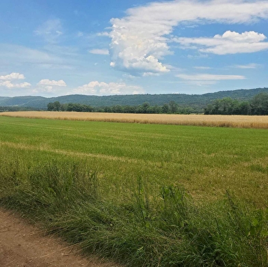 Randonnée - Le Plateau de la Belloire
