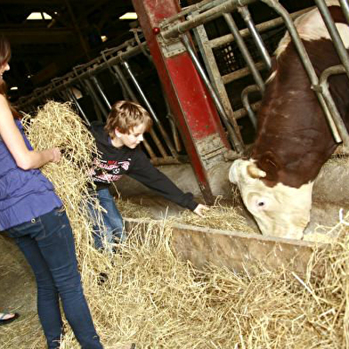 Gite ferme bio à They