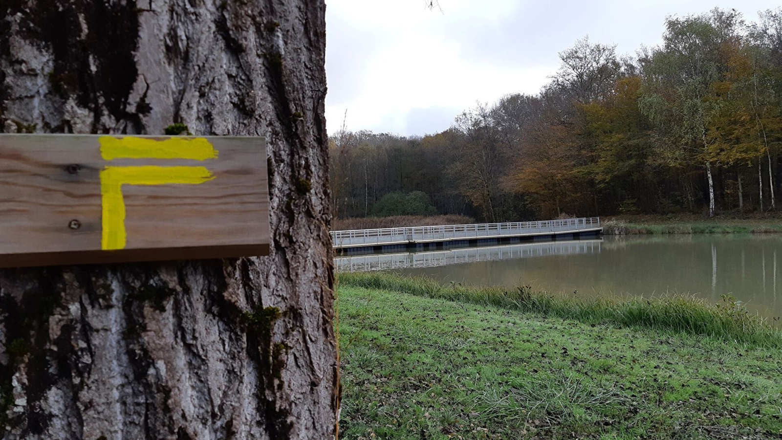 Coligny - Etang de Fougemagne (VTT)