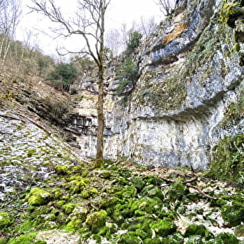 Source du Bief de la Ruine et Creux des Joyaux - FONCINE-LE-HAUT