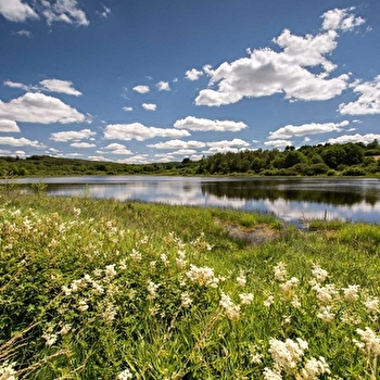 Sentier de découverte de l'étang Taureau  - SAINT-BRISSON