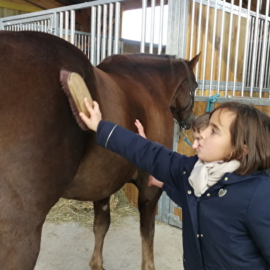 Cluny Horse Valley