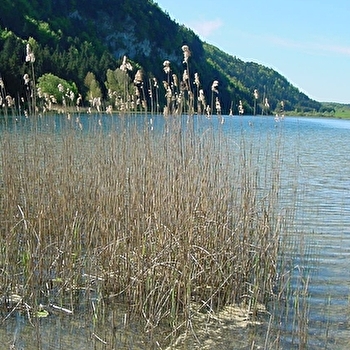 Belvédère sur les lacs d'étival - ETIVAL