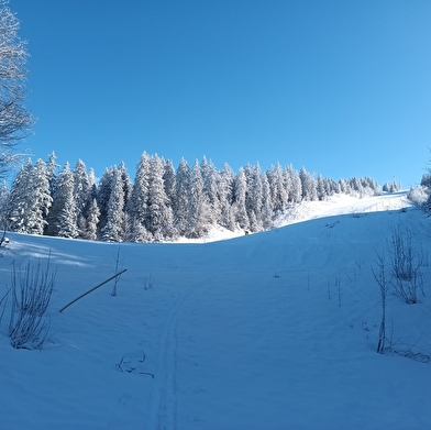 Piste de ski de randonnée