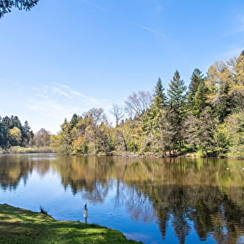 Atelier Aventures Mômes : Biodiversité à l'arboretum - DOMPIERRE-LES-ORMES