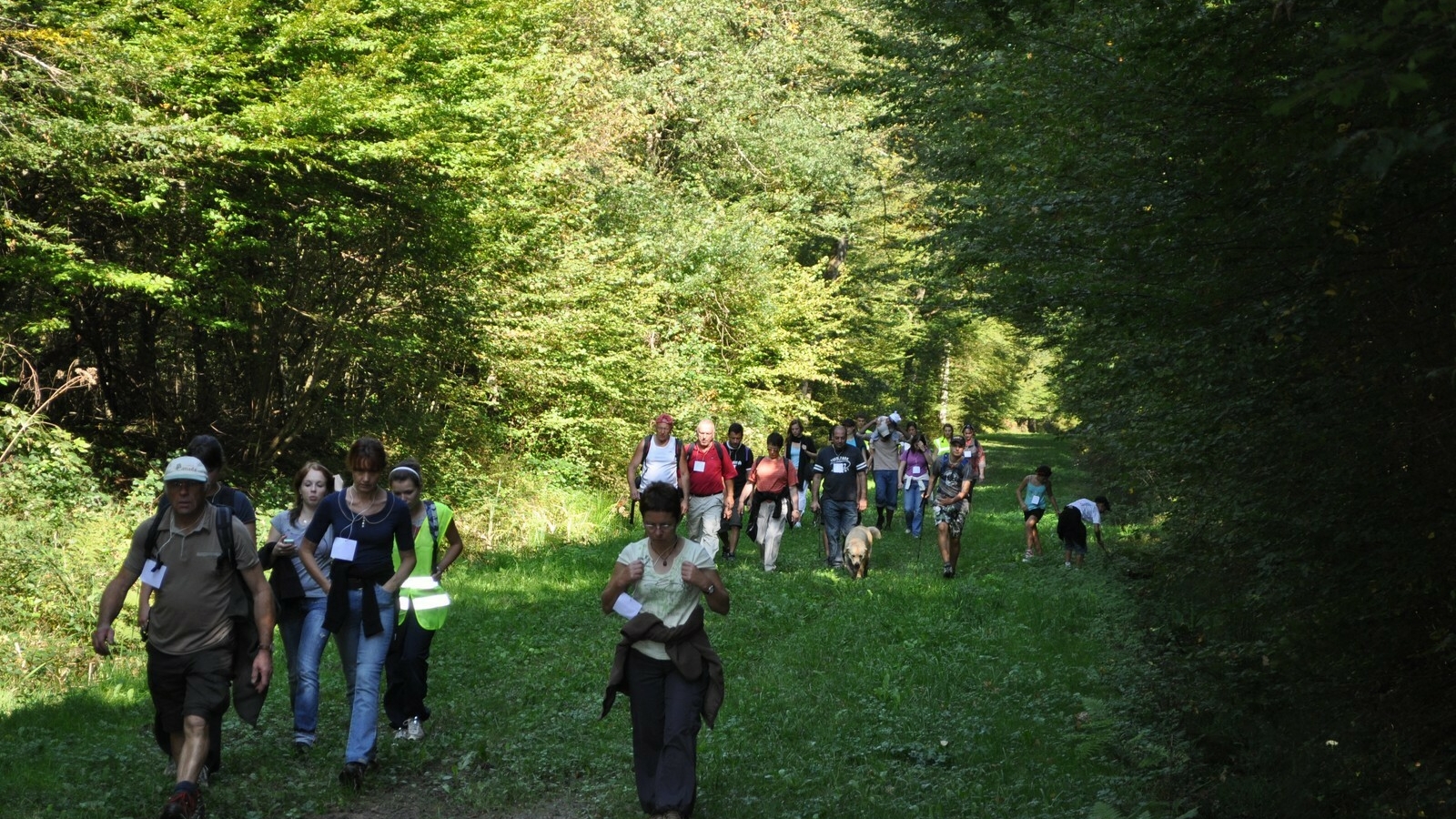 Le Bois des Fouchères