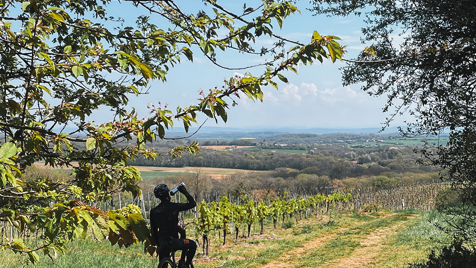 St Vit-fait Bien fait