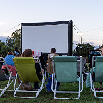 Cinéma Plein Air à la Saline - Bob Marley One Love - LURE