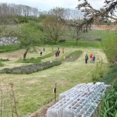 Visite gourmande aux plantes