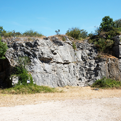 Parcours Découverte du Géorama 