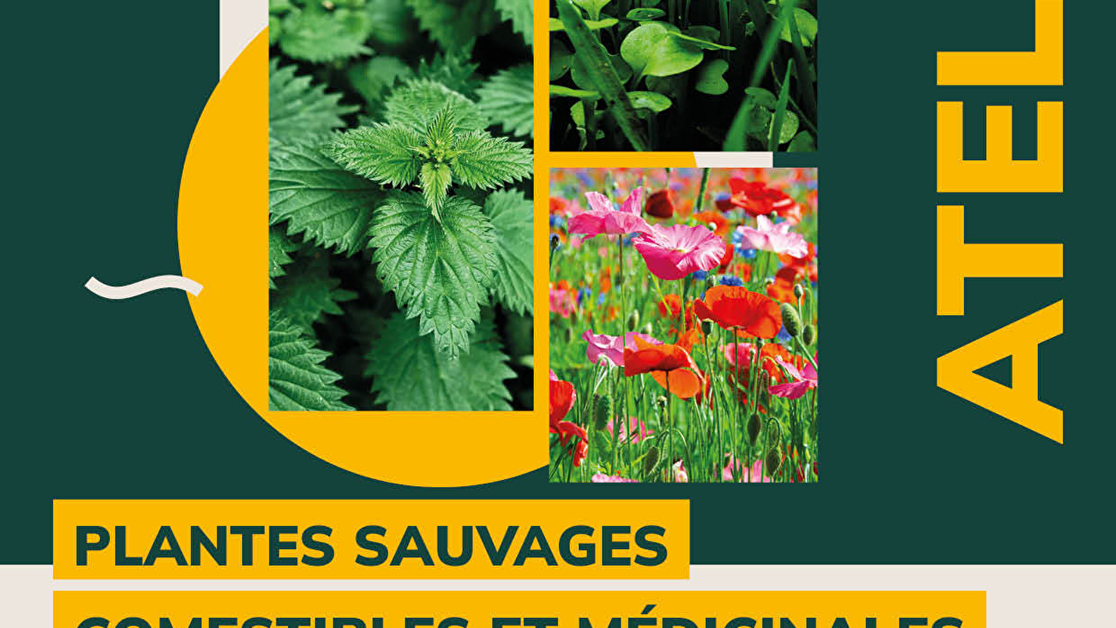 Atelier 'Sauvage'