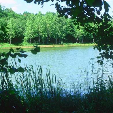 Randonnée - Coligny et l'Etang de Fougemagne