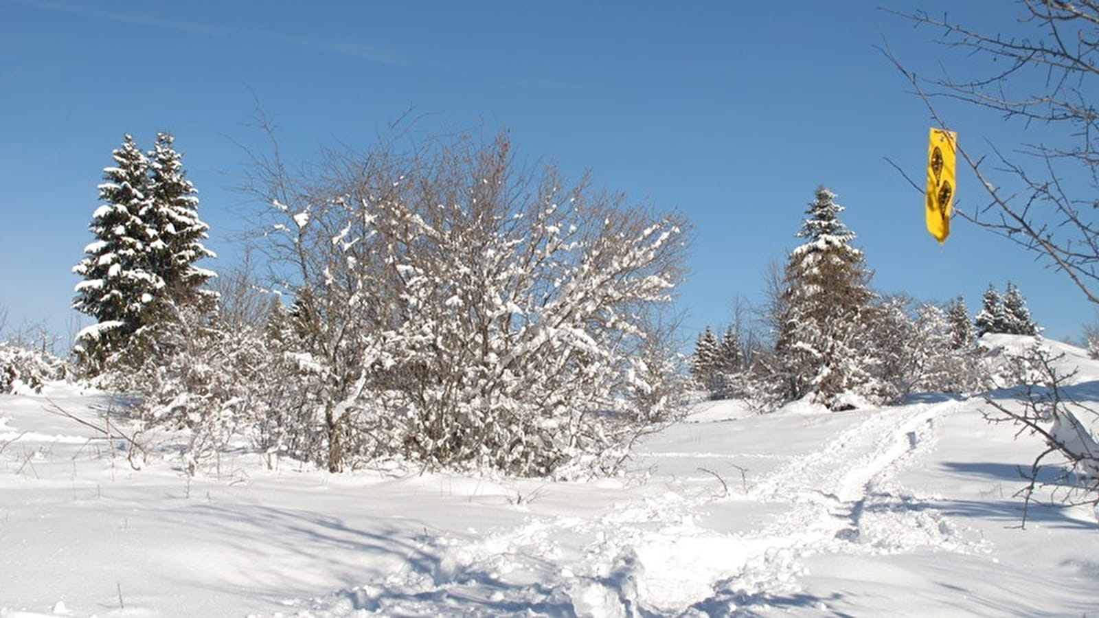 Circuits raquettes - Le Lac-des-Rouges-Truites