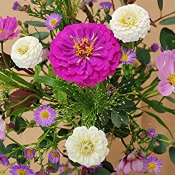 Nouveauté : Un musée pour soi - Composition florale - LONS-LE-SAUNIER